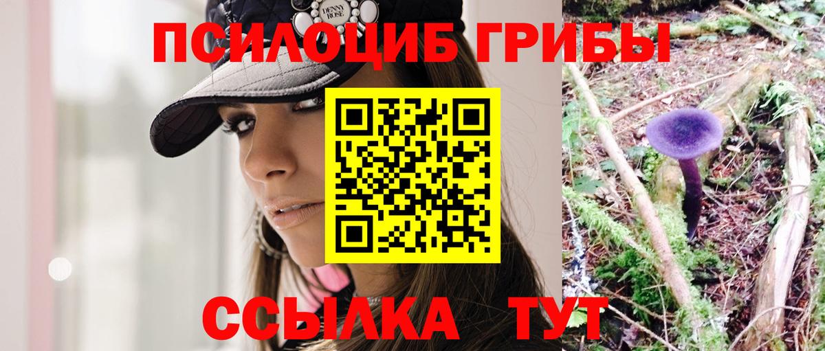 что такое наркотик  Вход с VPN  Ртищево  Псилоцибиновые грибы Psilocybine cubensis 